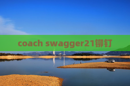 coach swagger21铆钉